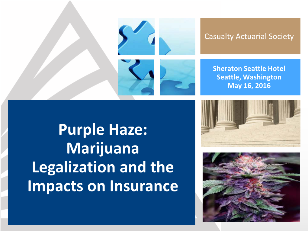 Purple Haze: Marijuana Legalization and the Impacts on Insurance