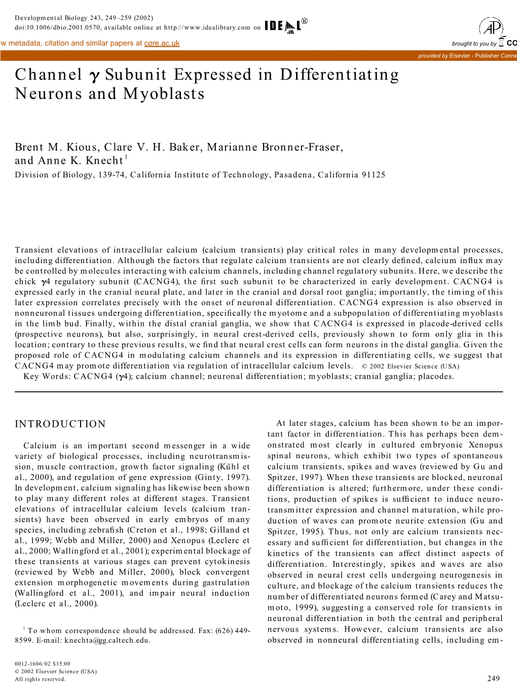 Subunit Expressed in Differentiating Neurons and Myoblasts