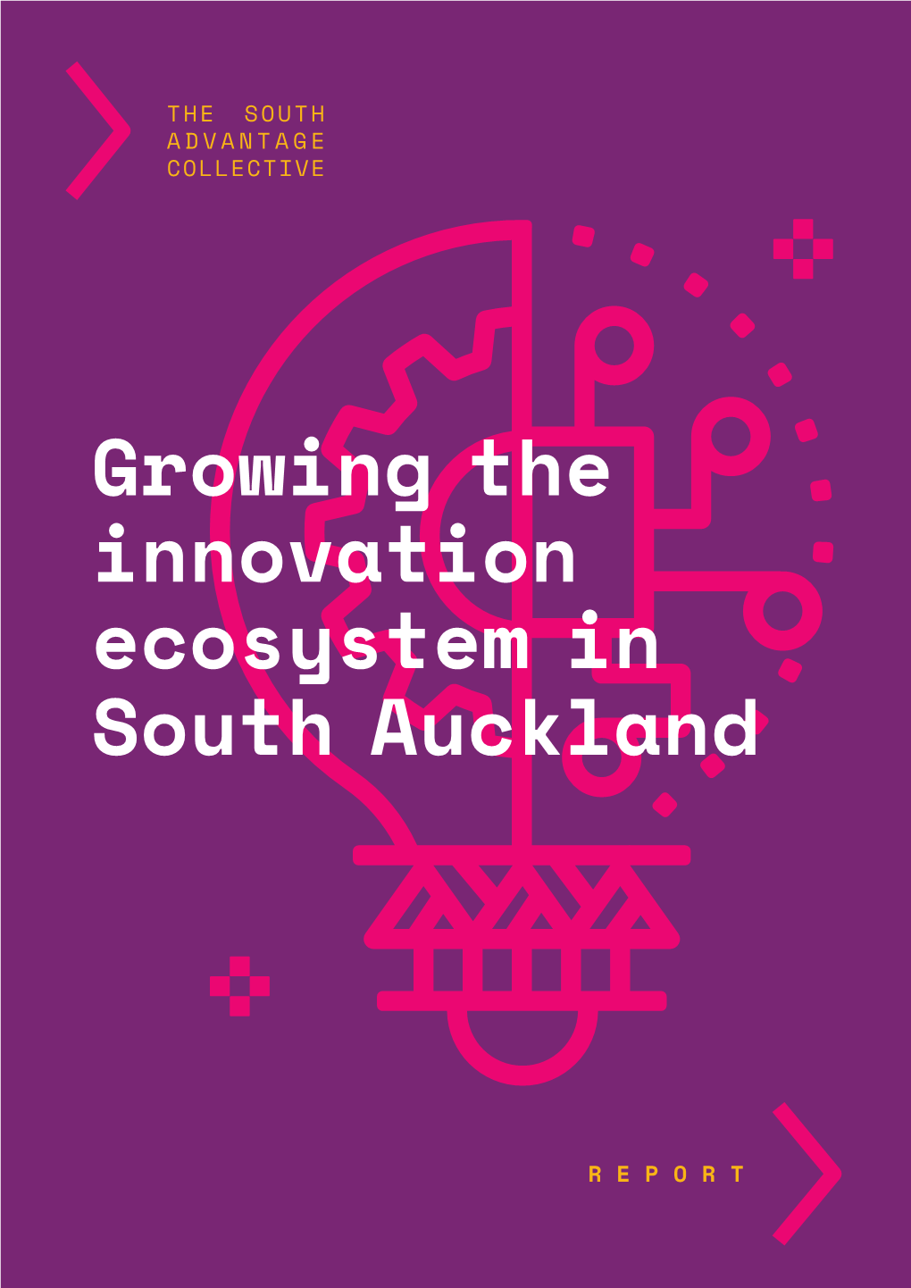 Growing the Innovation Ecosystem in South Auckland