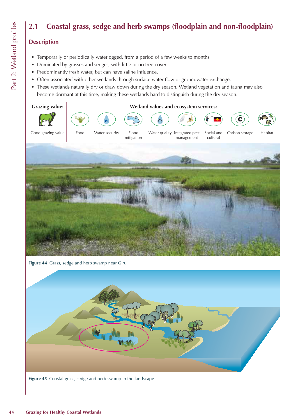 2.1 Coastal Grass, Sedge and Herb Swamps (Floodplain and Non-Floodplain)
