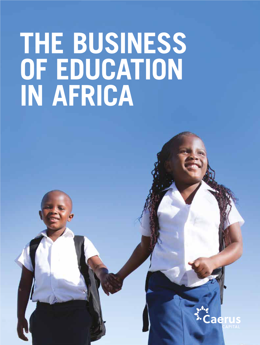 The Business of Education in Africa Authored By