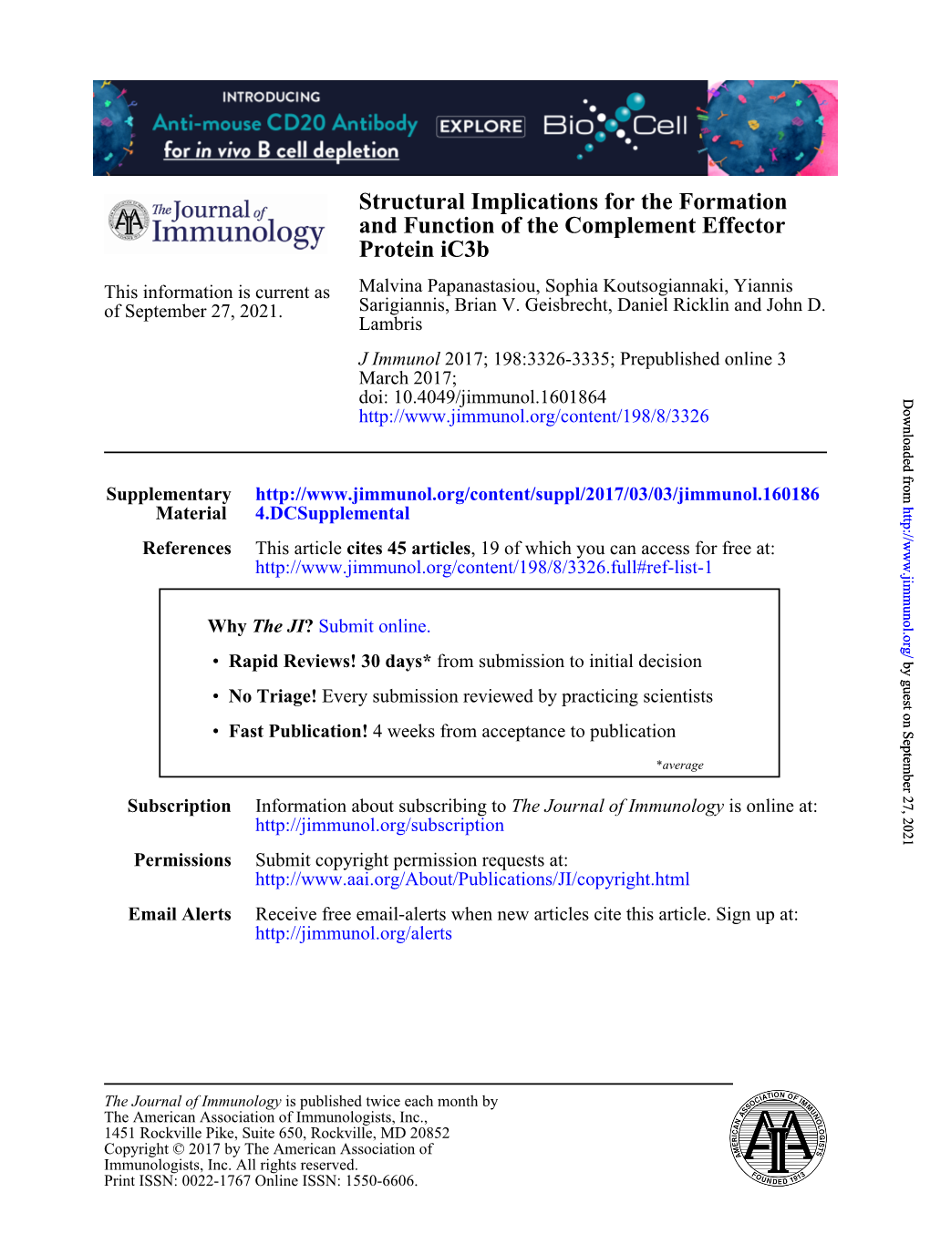 Structural Implications for the Formation and Function of the Complement Effector Protein Ic3b