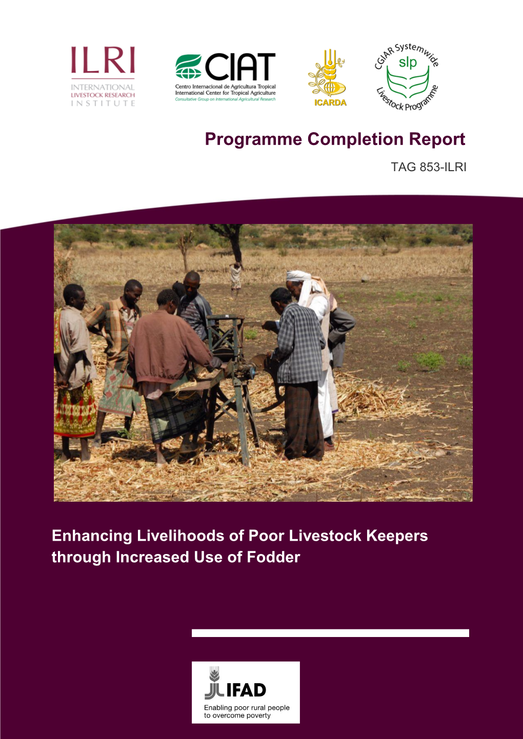 Enhancing Livelihoods of Poor Livestock Keepers Through Increased Use of Fodder