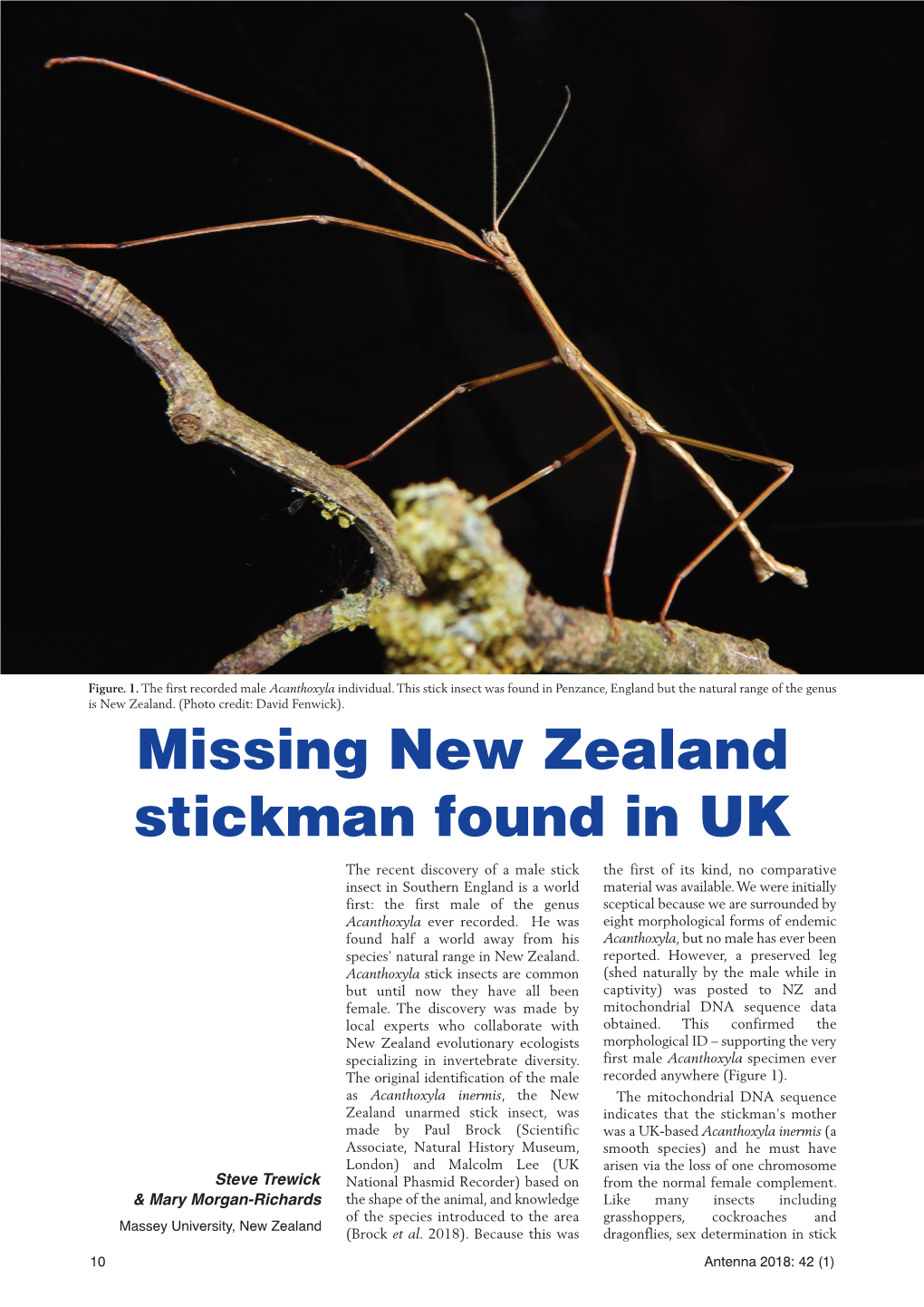 Missing New Zealand Stickman Found in UK