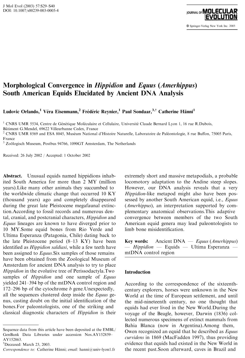 Morphological Convergence in Hippidion and Equus (Amerhippus) South American Equids Elucidated by Ancient DNA Analysis