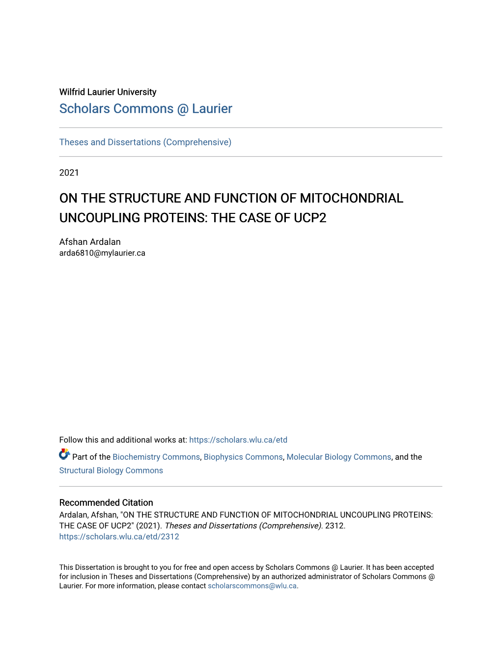 On the Structure and Function of Mitochondrial Uncoupling Proteins: the Case of Ucp2