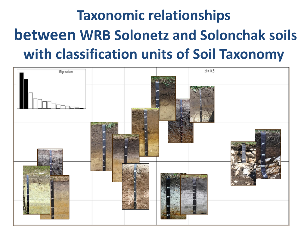 Taxonomic Relationships Between WRB Solonetz and Solonchak Soils with Classification Units of Soil Taxonomy Szent István University Hungary