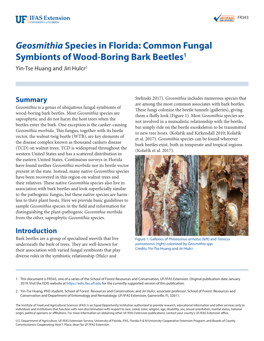 Geosmithia Species in Florida: Common Fungal Symbionts of Wood-Boring Bark Beetles1 Yin-Tse Huang and Jiri Hulcr2