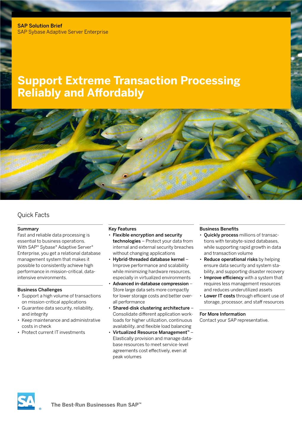 Support Extreme Transaction Processing Reliably and Affordably