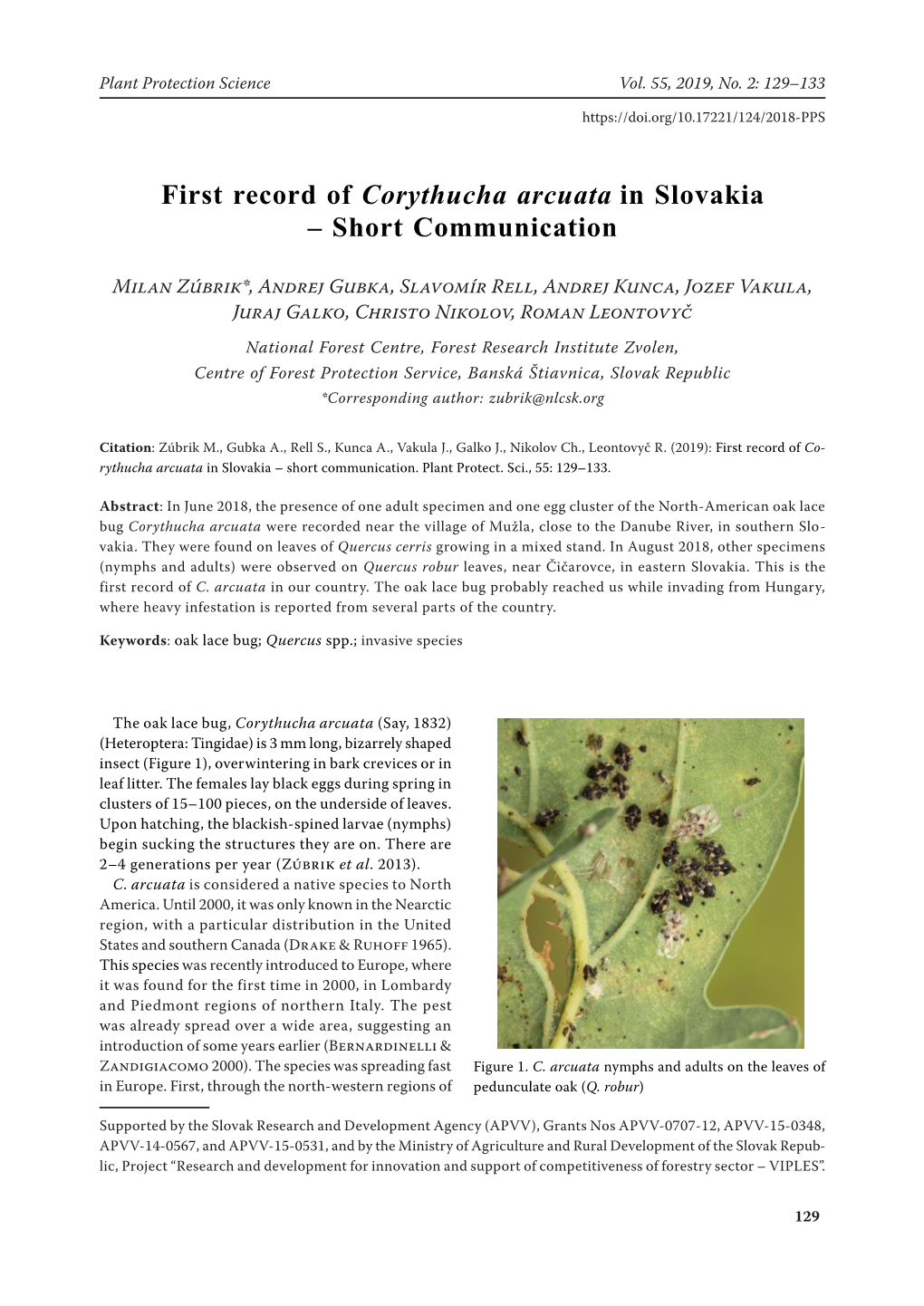 First Record of Corythucha Arcuata in Slovakia – Short Communication