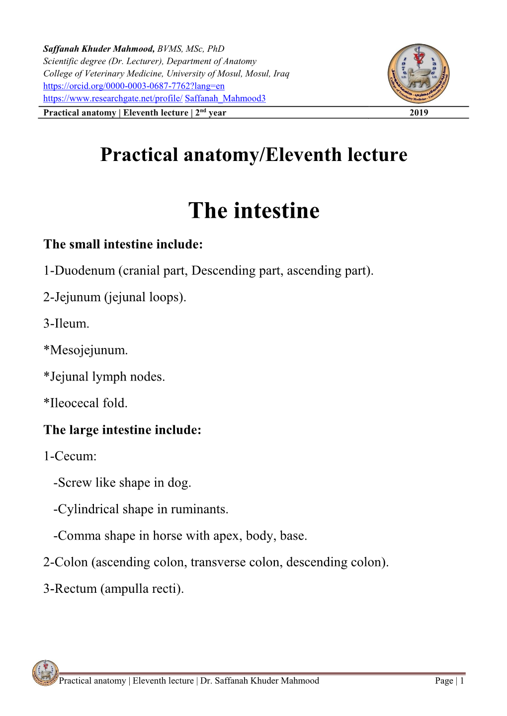 Practical Anatomy/Eleventh Lecture