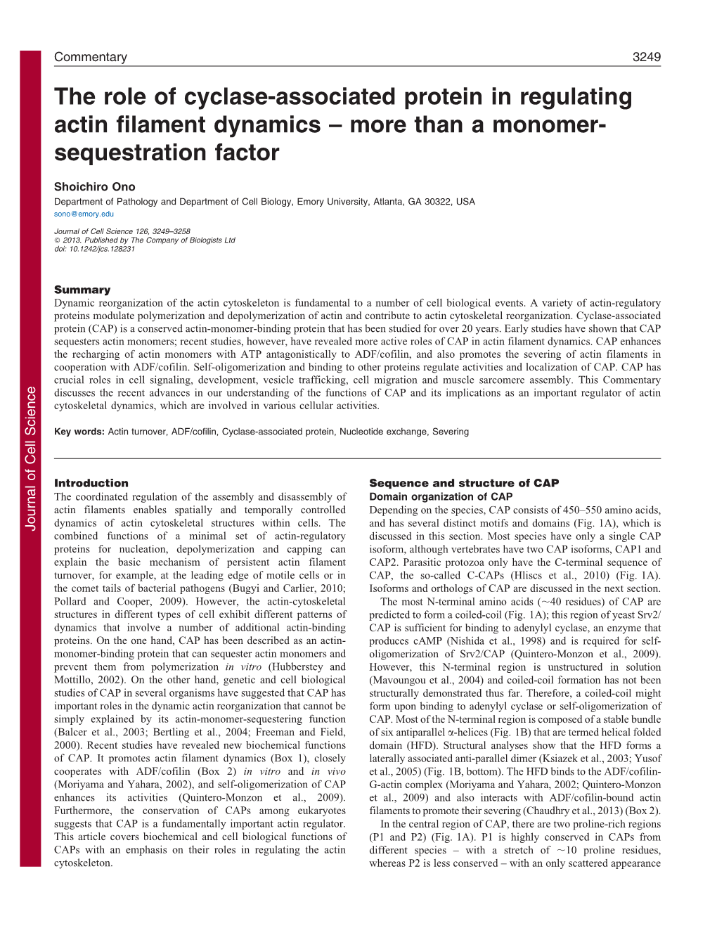 The Role of Cyclase-Associated Protein in Regulating Actin Filament Dynamics