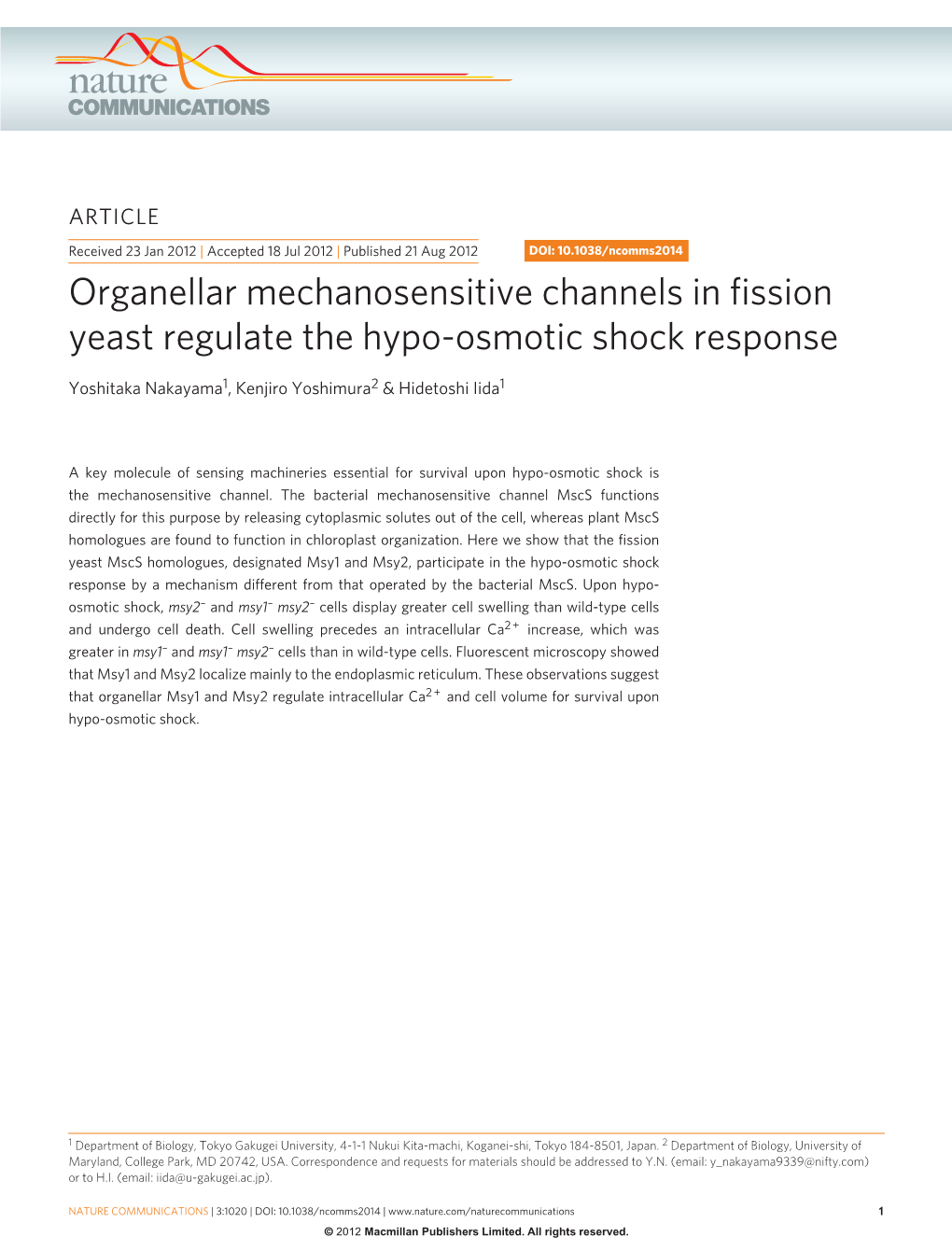 Organellar Mechanosensitive Channels in Fission Yeast Regulate the Hypo-Osmotic Shock Response