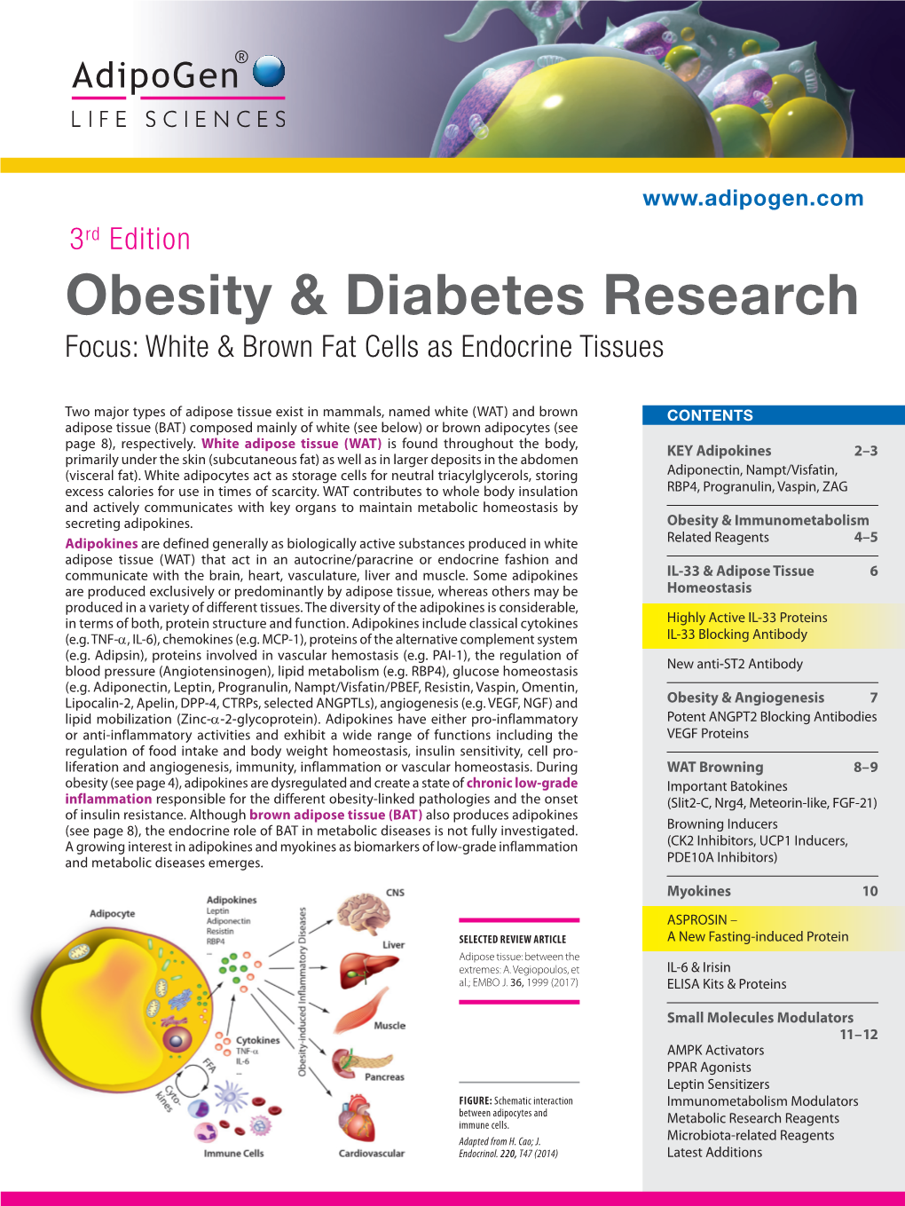 Obesity & Diabetes Research