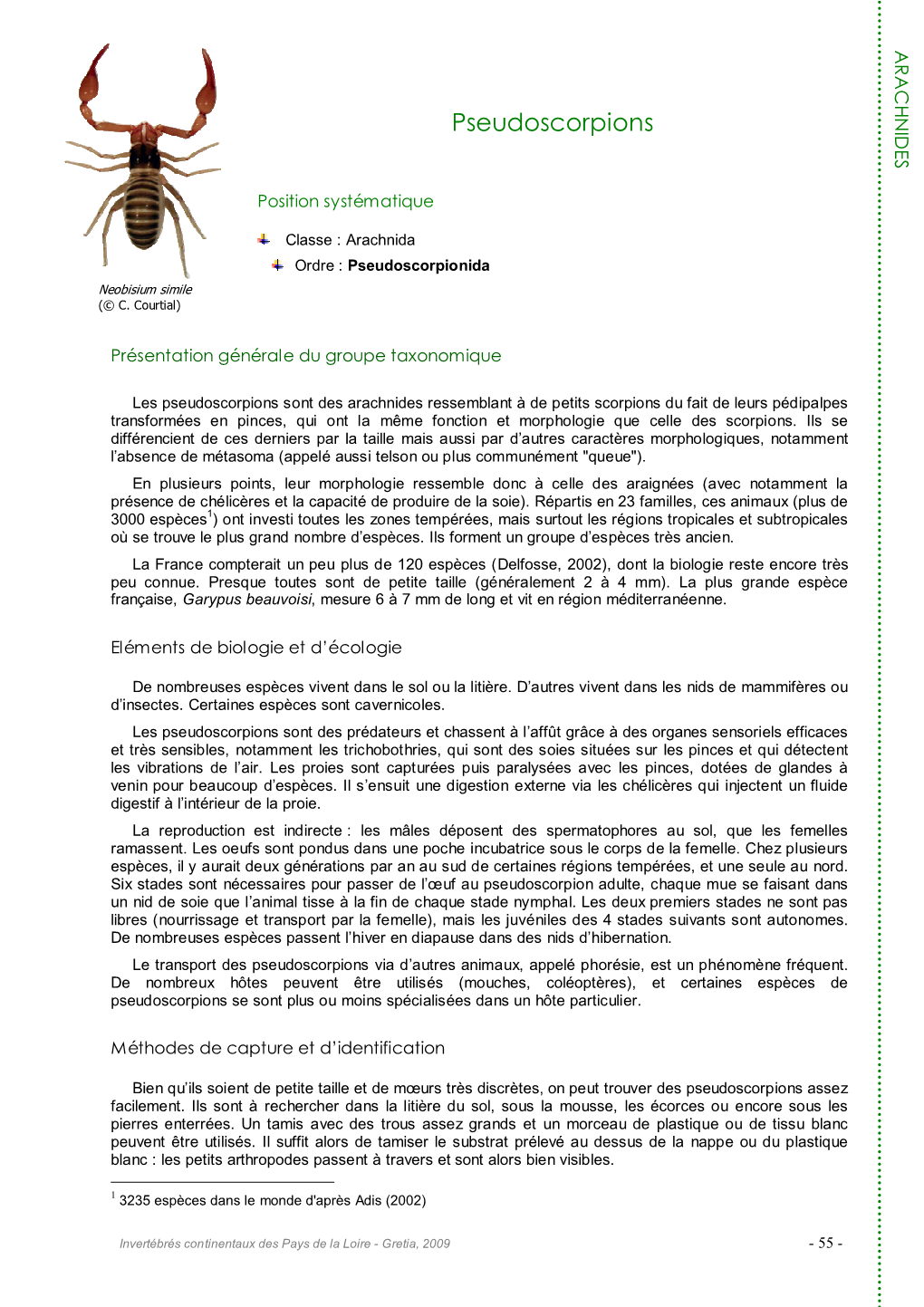 Pseudoscorpions