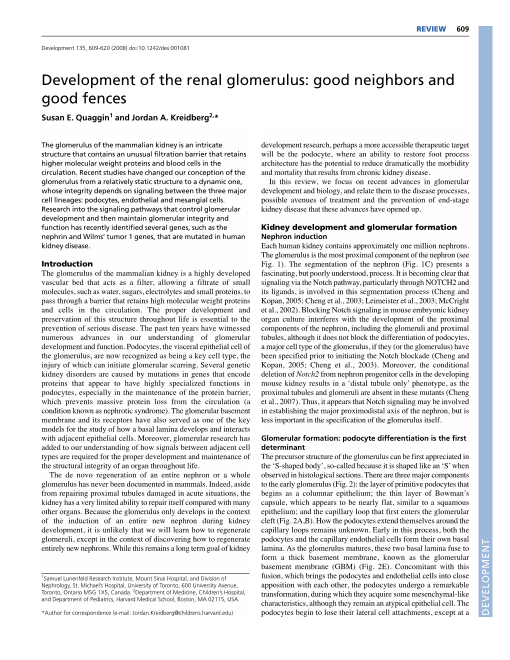 Development of the Renal Glomerulus: Good Neighbors and Good Fences Susan E