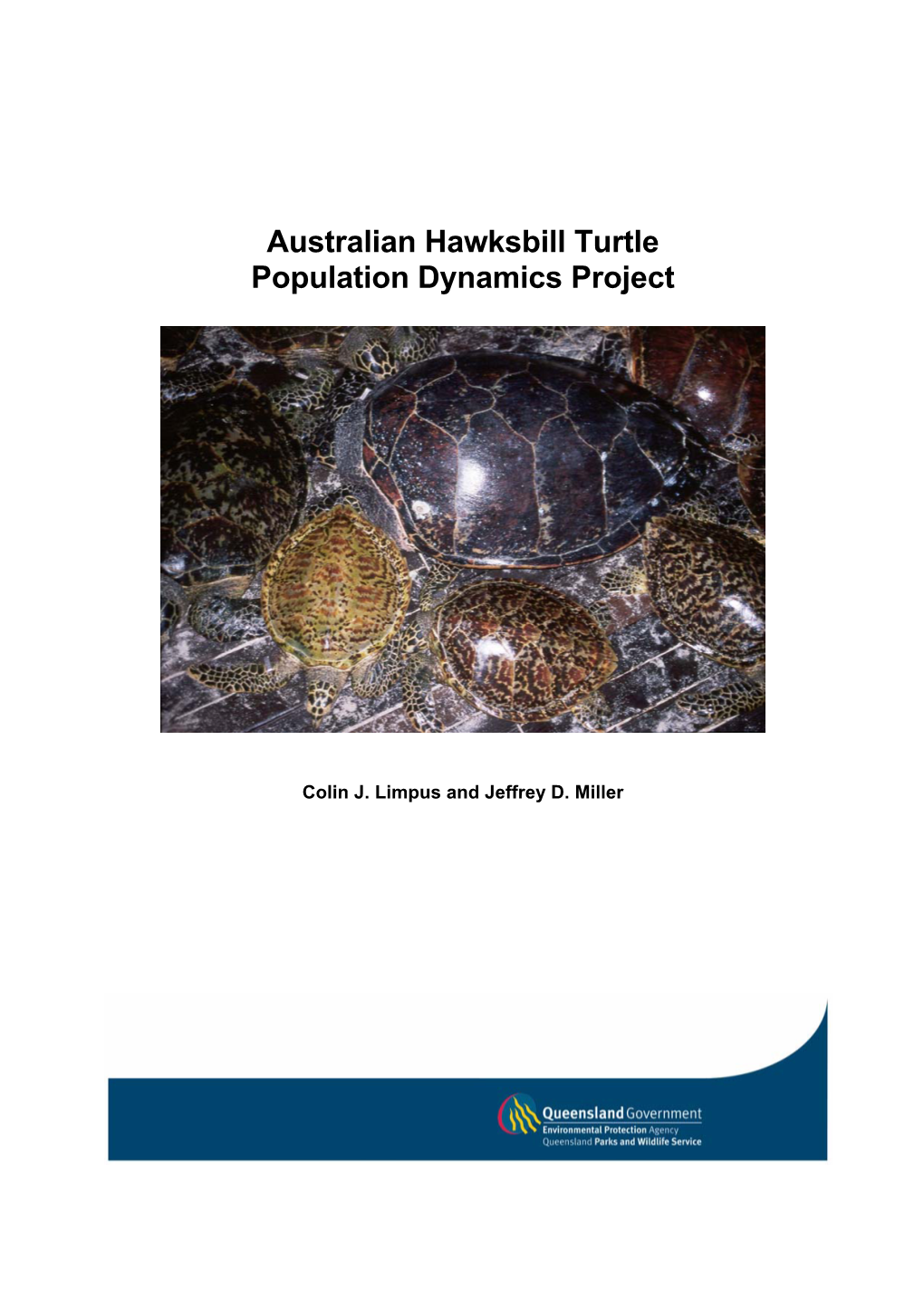 Australian Hawksbill Turtle Population Dynamics Project