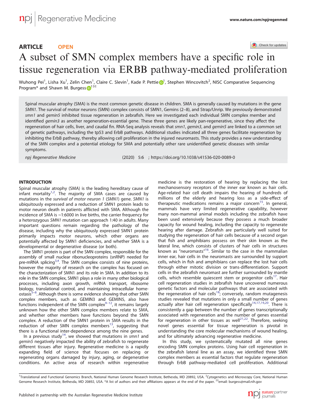 A Subset of SMN Complex Members Have a Specific Role In