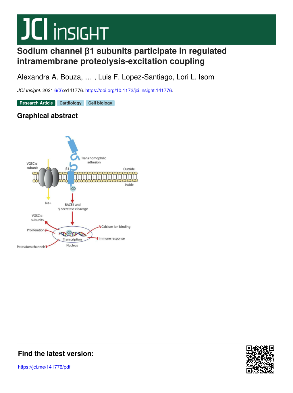 Sodium Channel Β1 Subunits Participate in Regulated Intramembrane Proteolysis-Excitation Coupling
