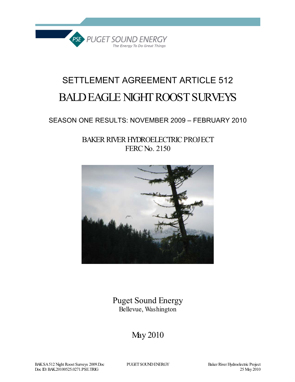 Bald Eagle Night Roost Surveys