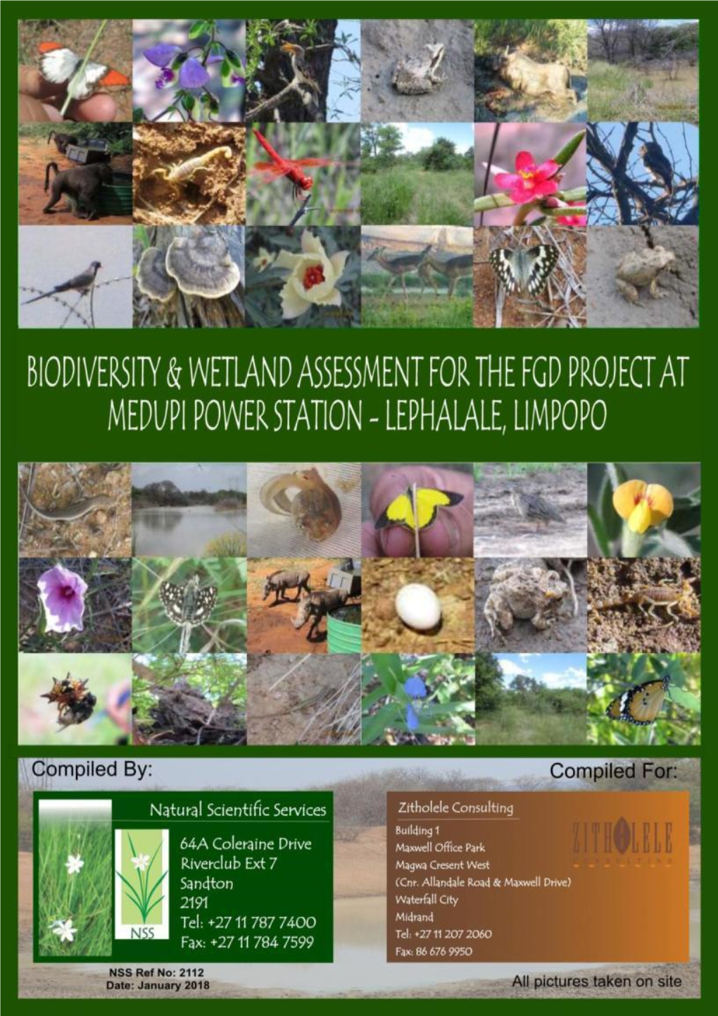 FGD Biodiversity & Wetland Assessment Natural Scientific Services CC 1