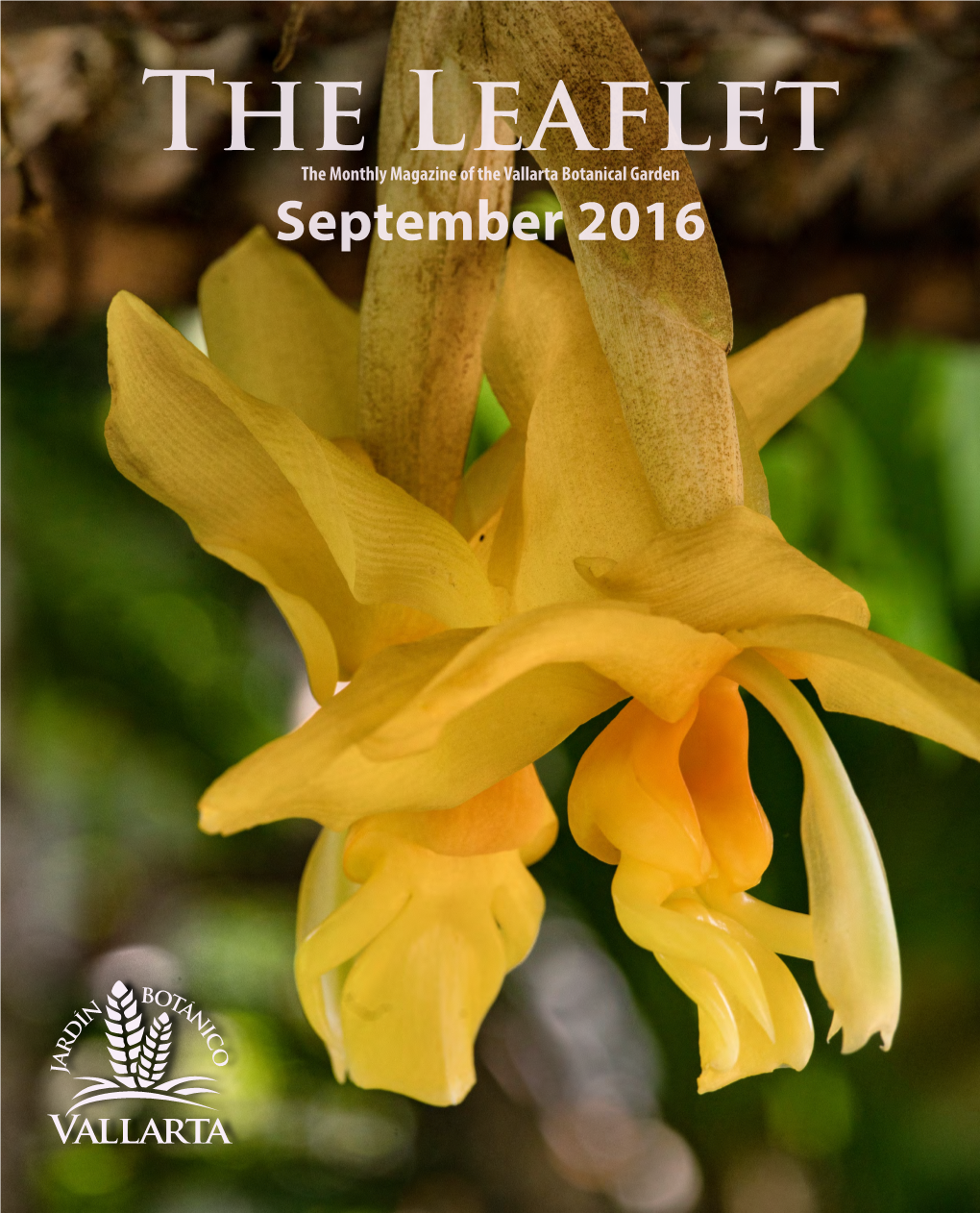 September 2016 the Leaflet the Monthly Magazine of the Vallarta Botanical Garden Puerto Vallarta, Jalisco, México September 2016 Vol