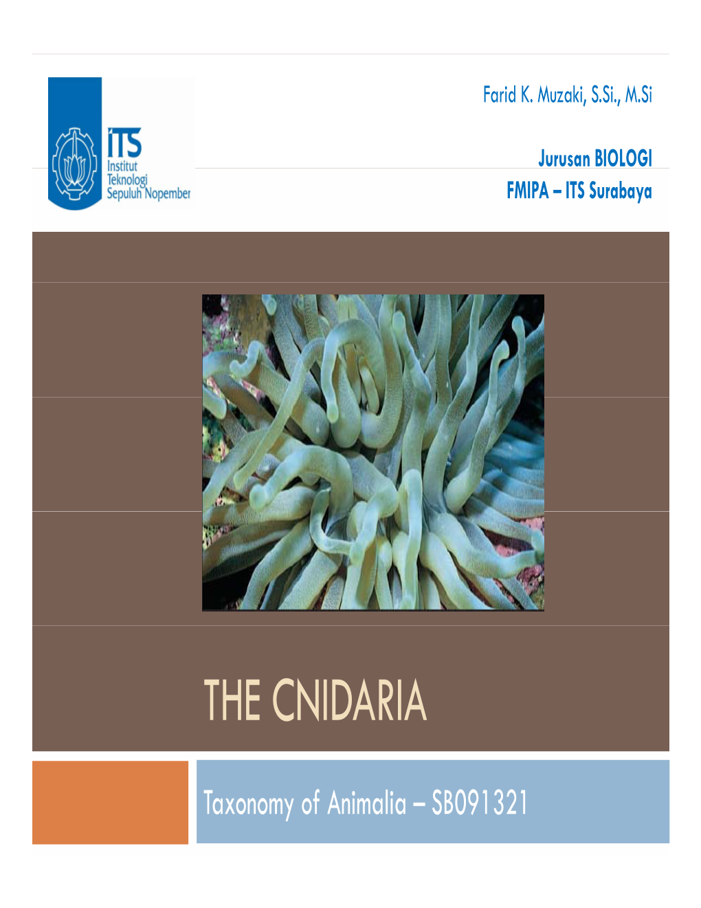 The Cnidaria