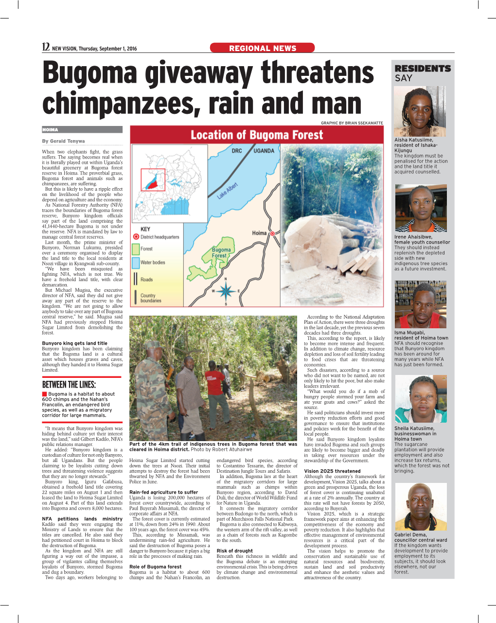 Bugoma Giveaway Threatens Chimpanzees, Rain And