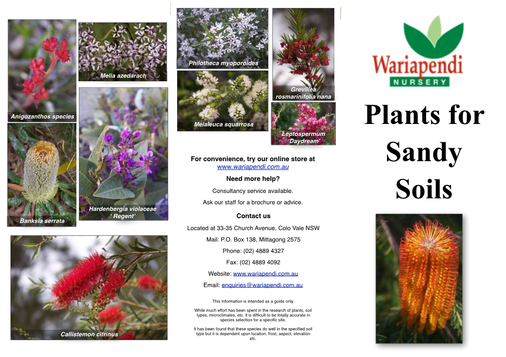 Plants for Sandy Soils