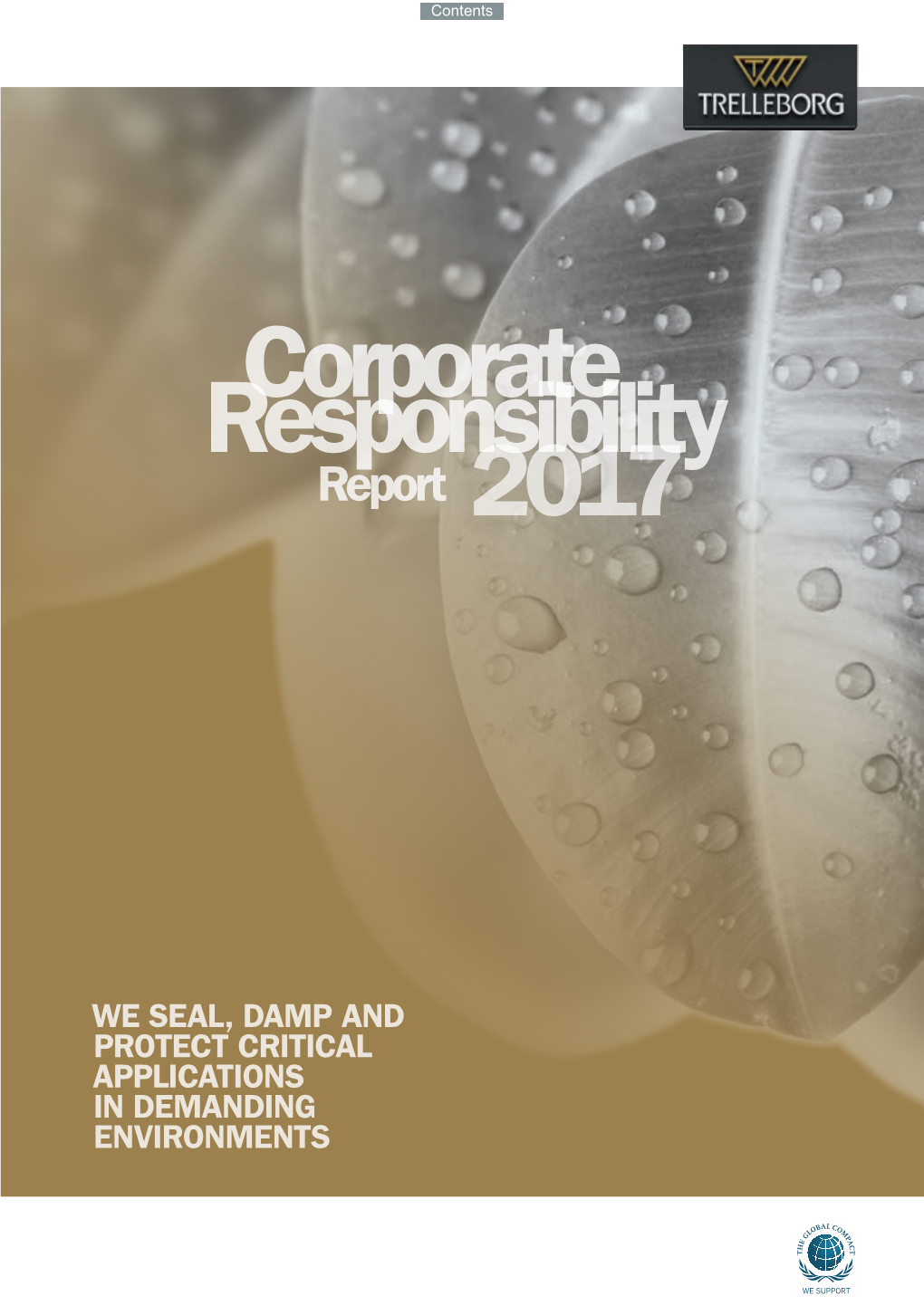 Responsibility Corporate 2017