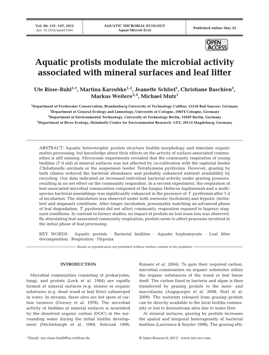 Aquatic Protists Modulate the Microbial Activity Associated with Mineral Surfaces and Leaf Litter