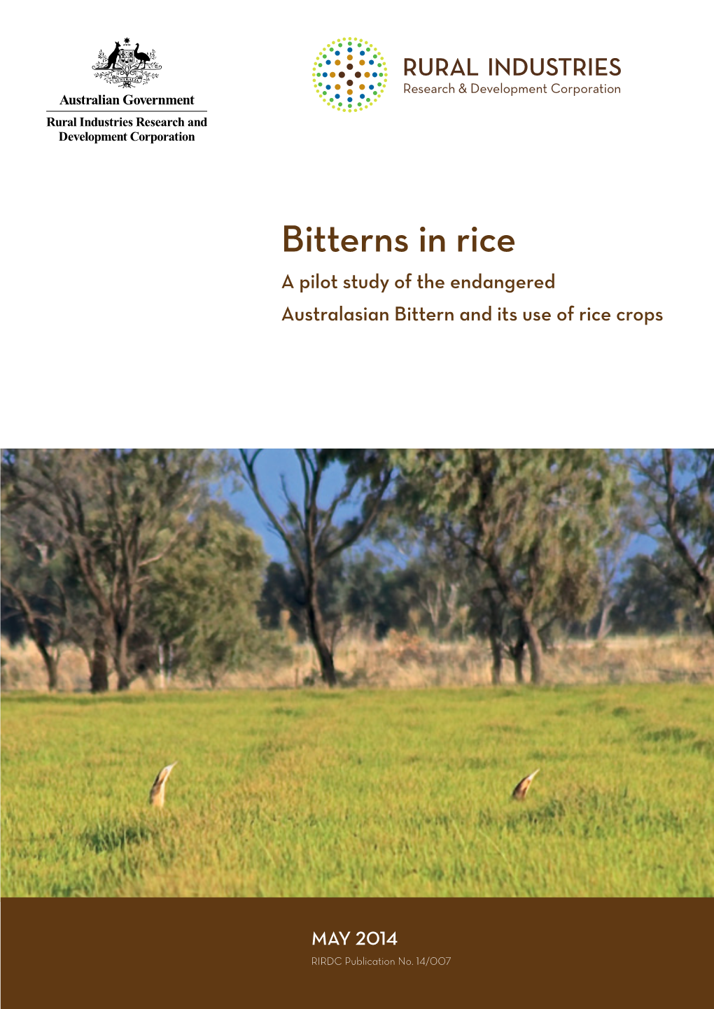 Bitterns in Rice a Pilot Study of the Endangered Australasian Bittern and Its Use of Rice Crops