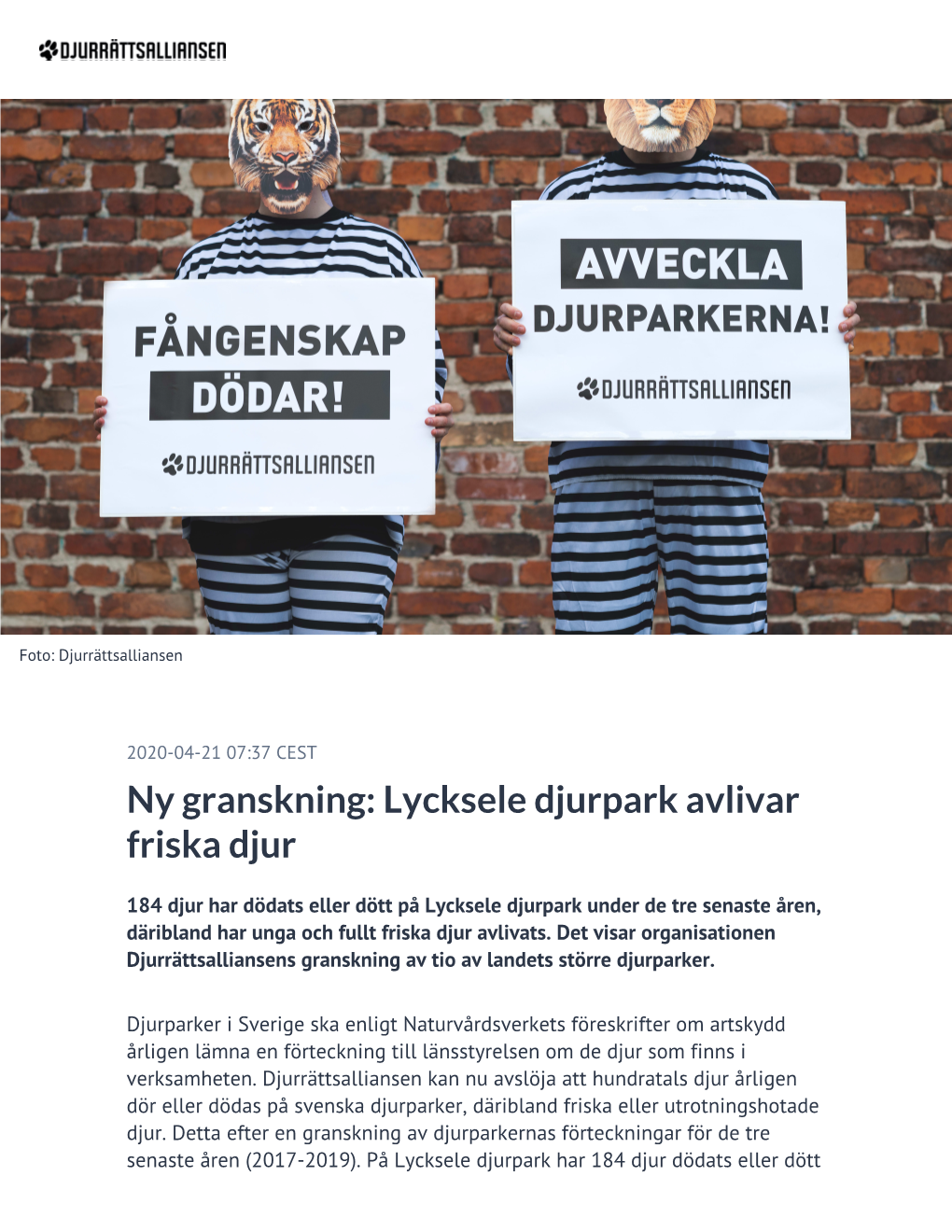 Lycksele Djurpark Avlivar Friska Djur