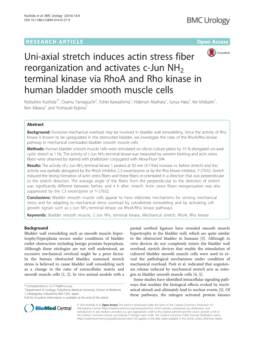 Uni-Axial Stretch Induces Actin Stress Fiber Reorganization and Activates C