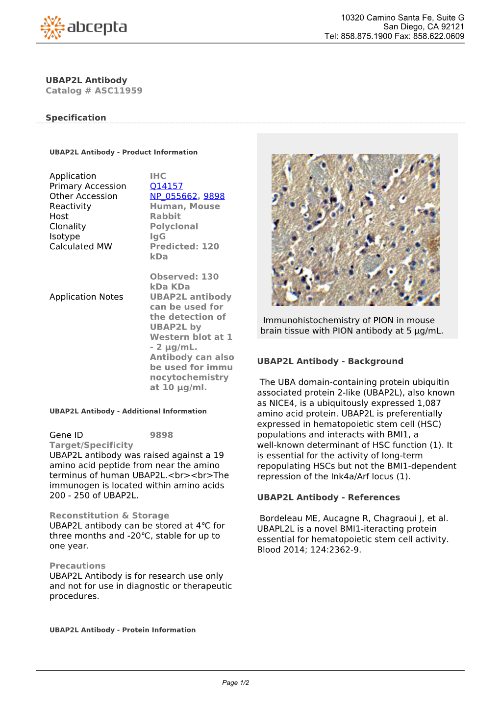 UBAP2L Antibody Catalog # ASC11959