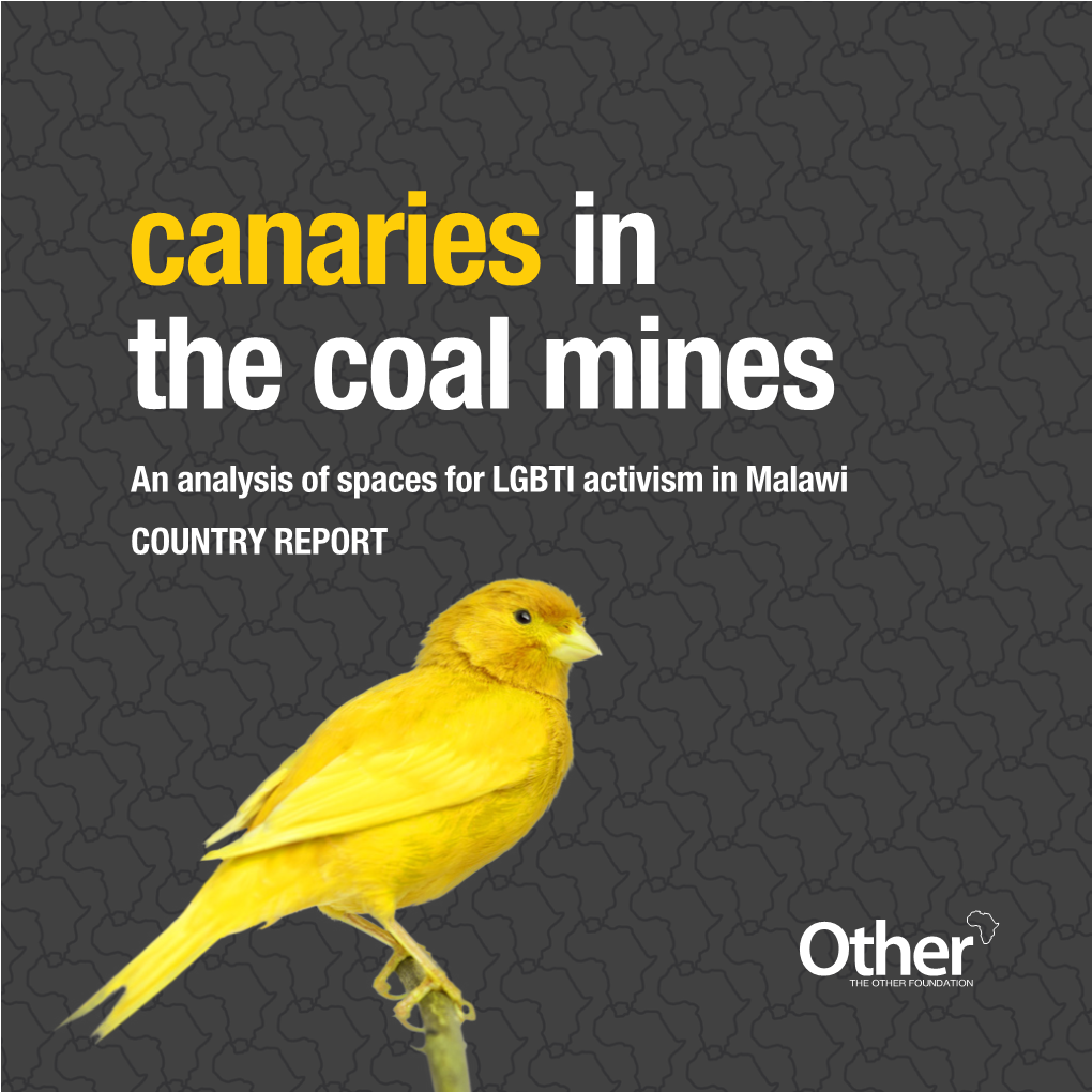 Malawi COUNTRY REPORT Canaries in the Coal Mines an Analysis of Spaces for LGBTI Activism in Malawi COUNTRY REPORT