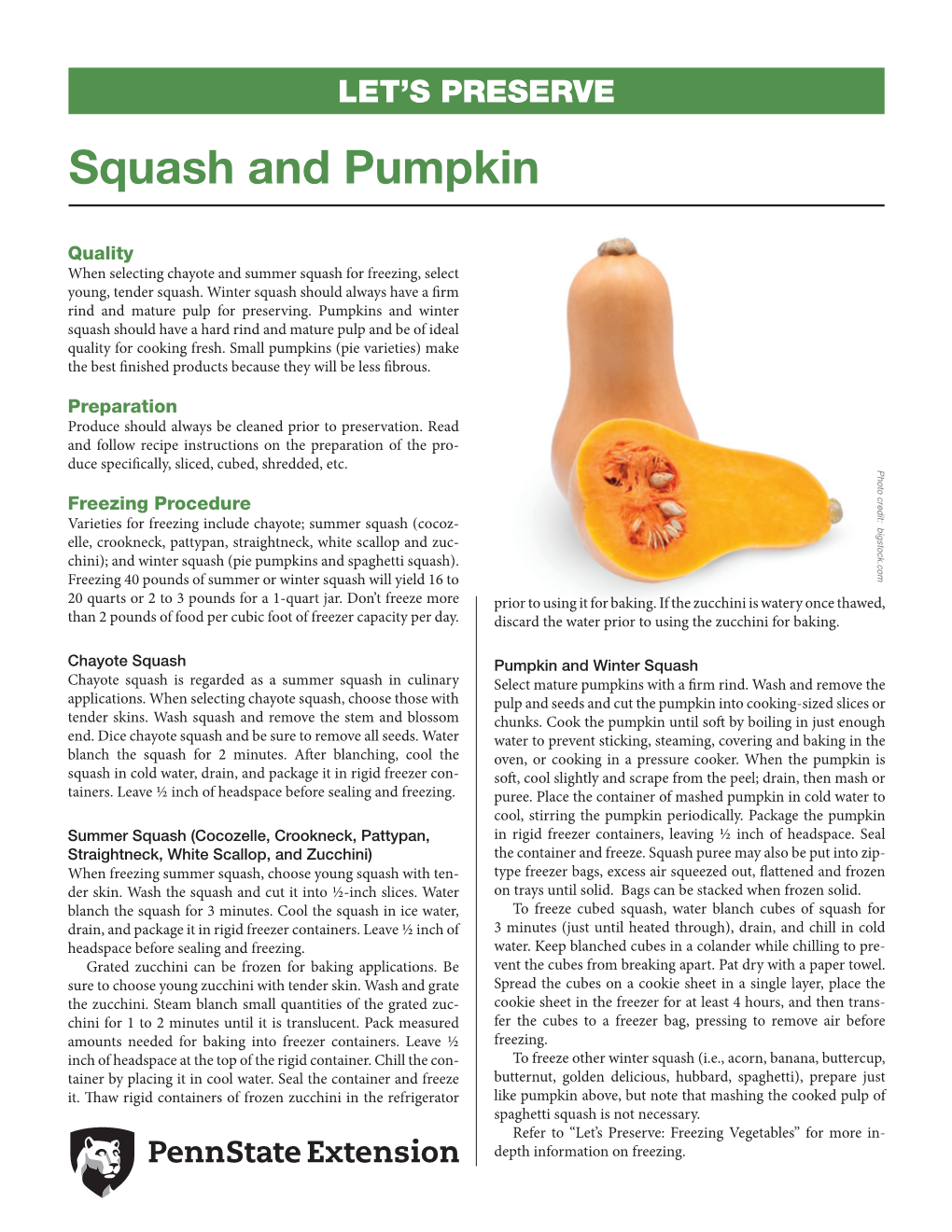 Squash and Pumpkin