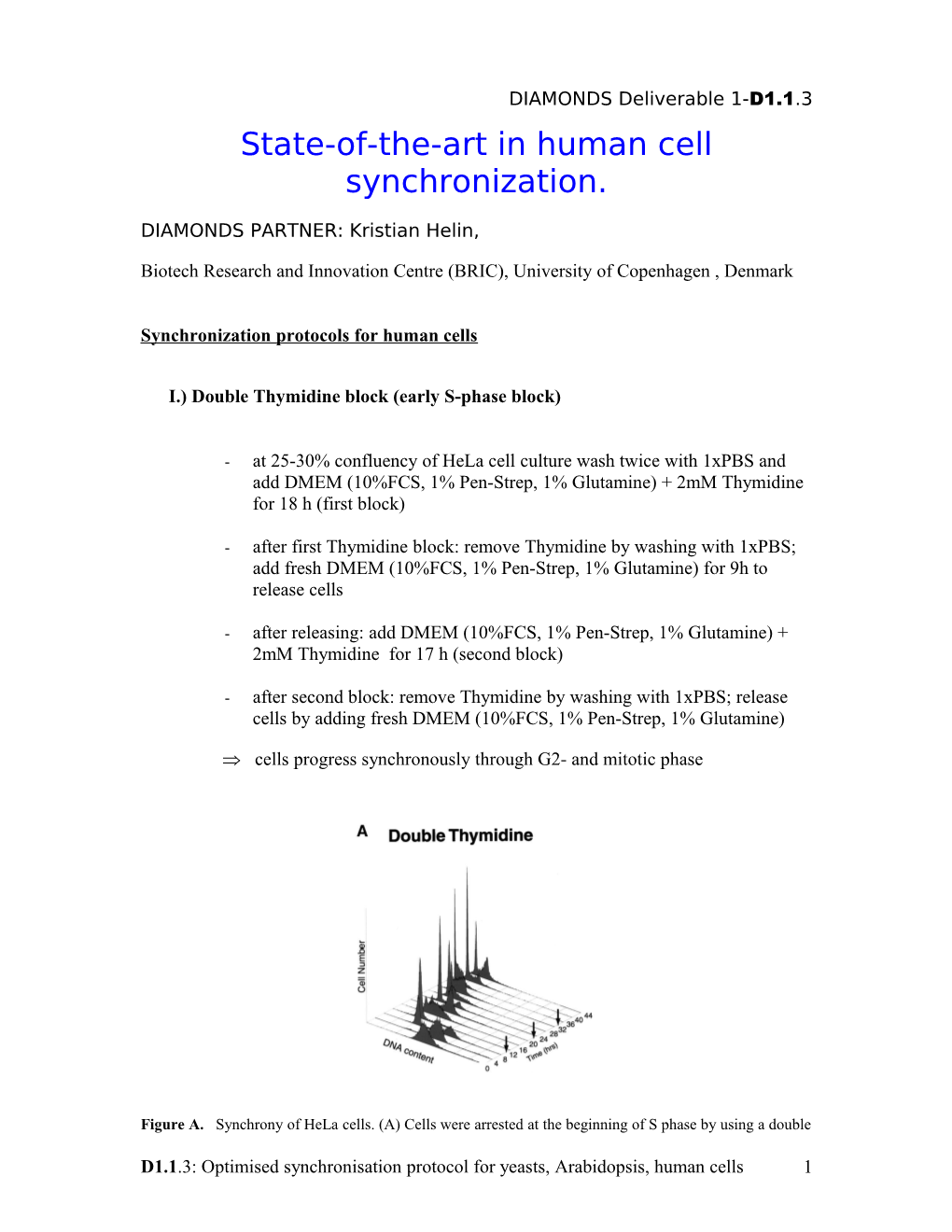 Synchronization Protocols for Human Cells