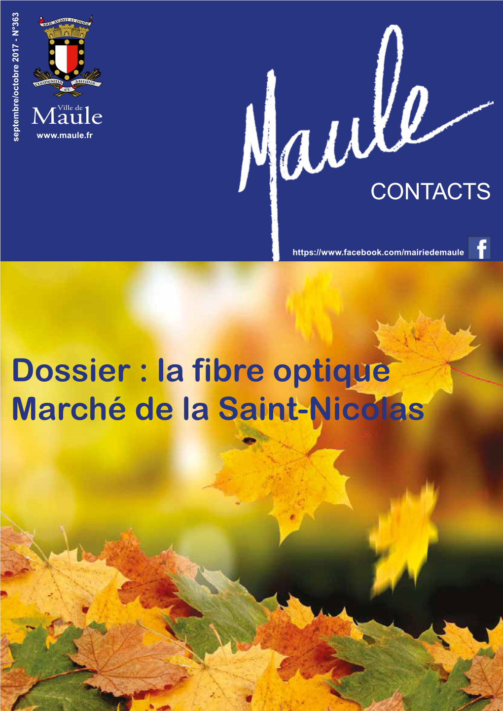 Dossier : La Fibre Optique Marché De La Saint-Nicolas