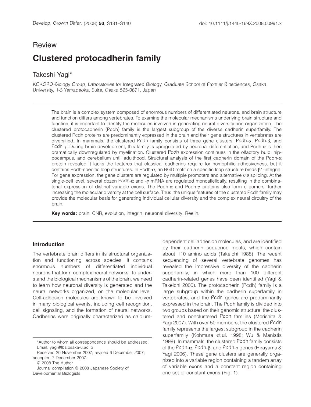 Clustered Protocadherin Family