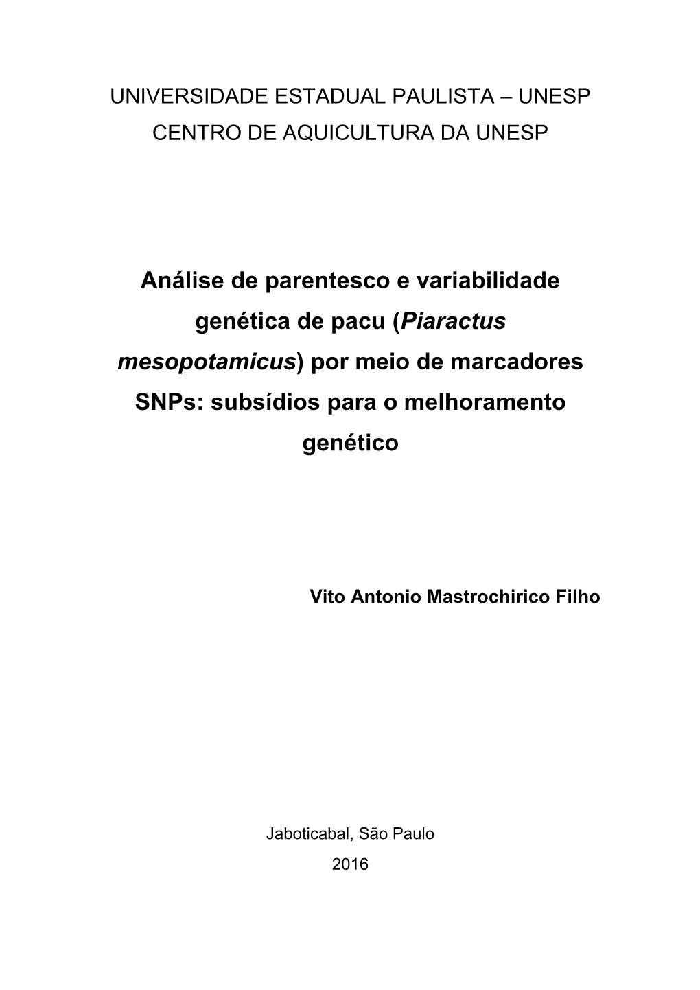 Análise De Parentesco E Variabilidade Genética De Pacu (Piaractus Mesopotamicus) Por Meio De Marcadores Snps: Subsídios Para O Melhoramento Genético