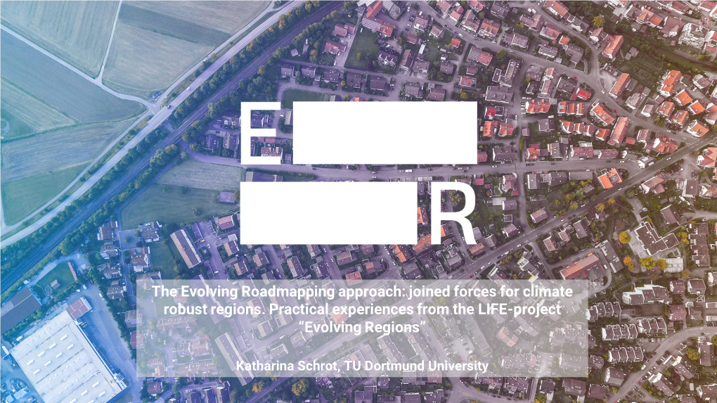 The Evolving Roadmapping Approach: Joined Forces for Climate Robust Regions