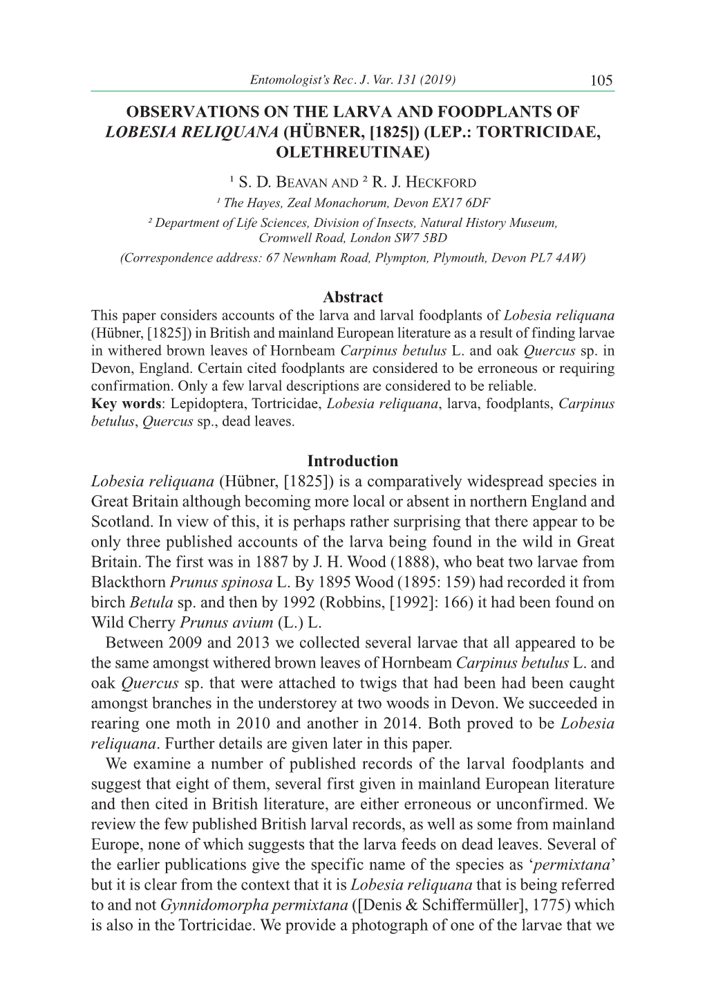 Observations on the Larva and Foodplants of Lobesia Reliquana (Hübner, [1825]) (Lep.: Tortricidae, Olethreutinae)