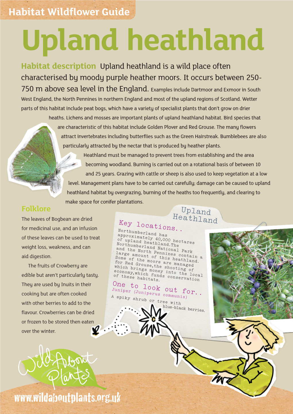 Upland Heathland Habitat Description Upland Heathland Is a Wild Place Often Characterised by Moody Purple Heather Moors