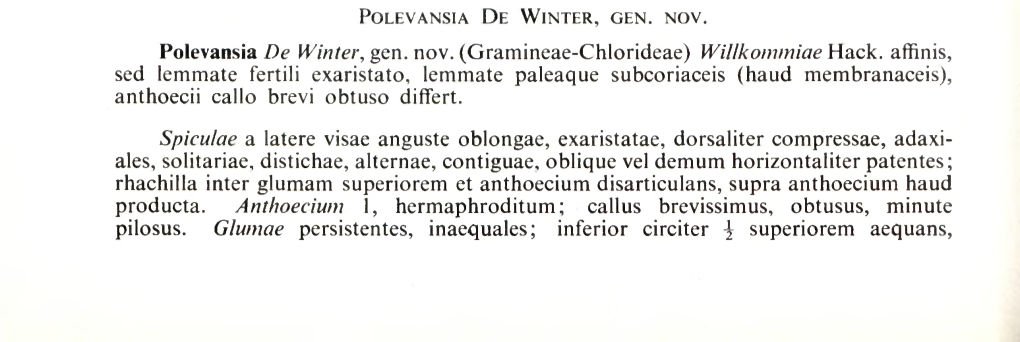 Polevansia De Winter, Gen. Nov. (Gramineae-Chlorideae