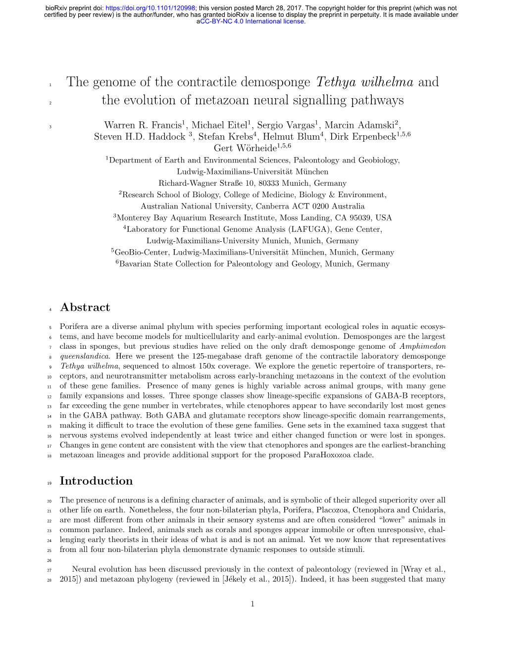 The Genome of the Contractile Demosponge Tethya Wilhelma And