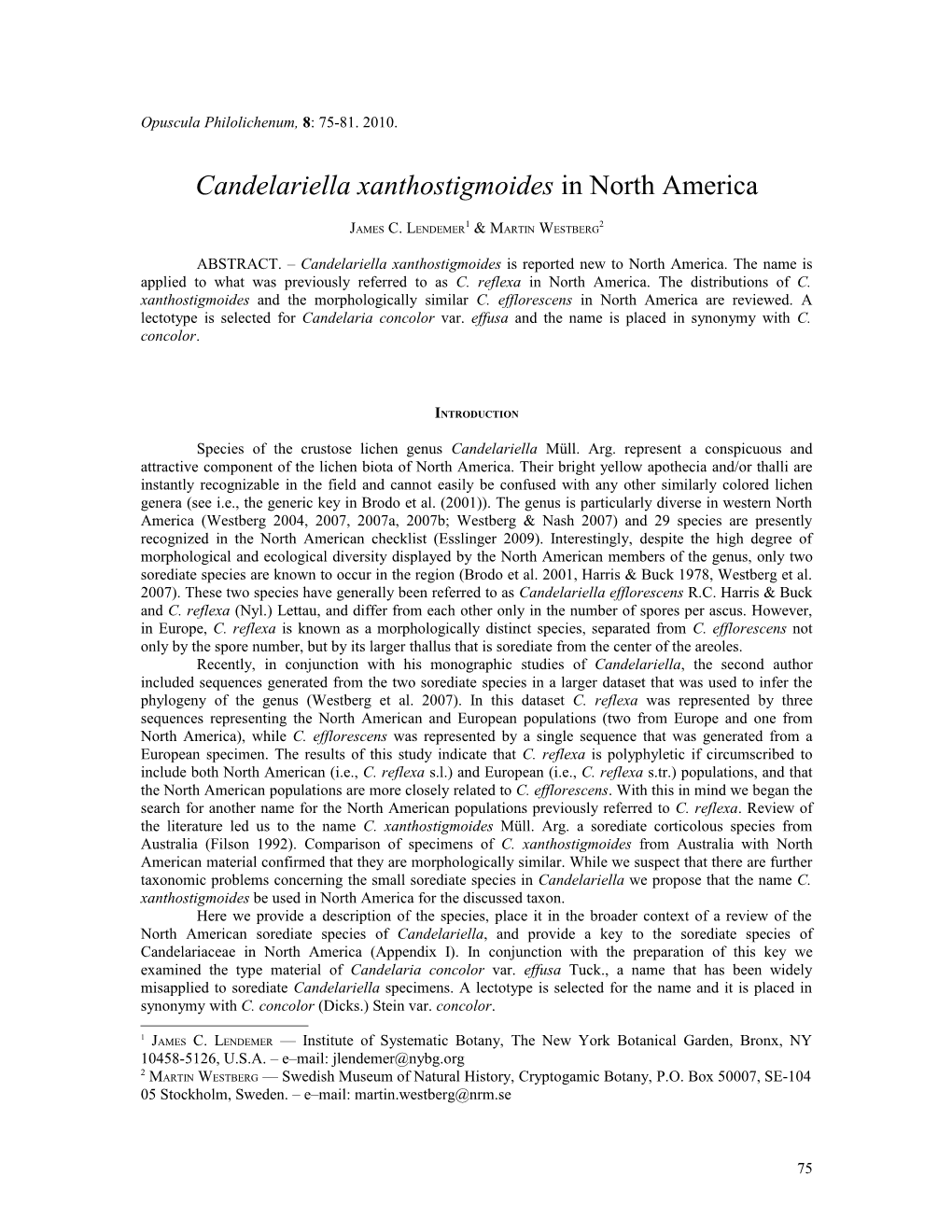 Candelariella Xanthostigmoides in North America