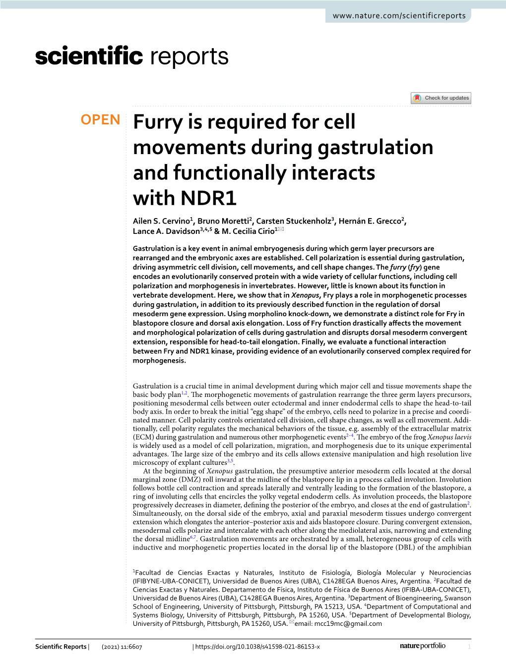 Furry Is Required for Cell Movements During Gastrulation and Functionally Interacts with NDR1 Ailen S