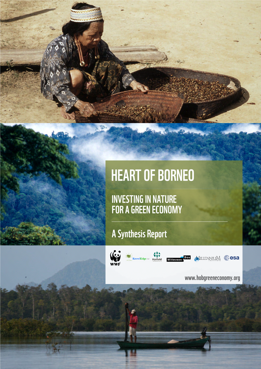 Heart of Borneo Investing in Nature for a Green Economy