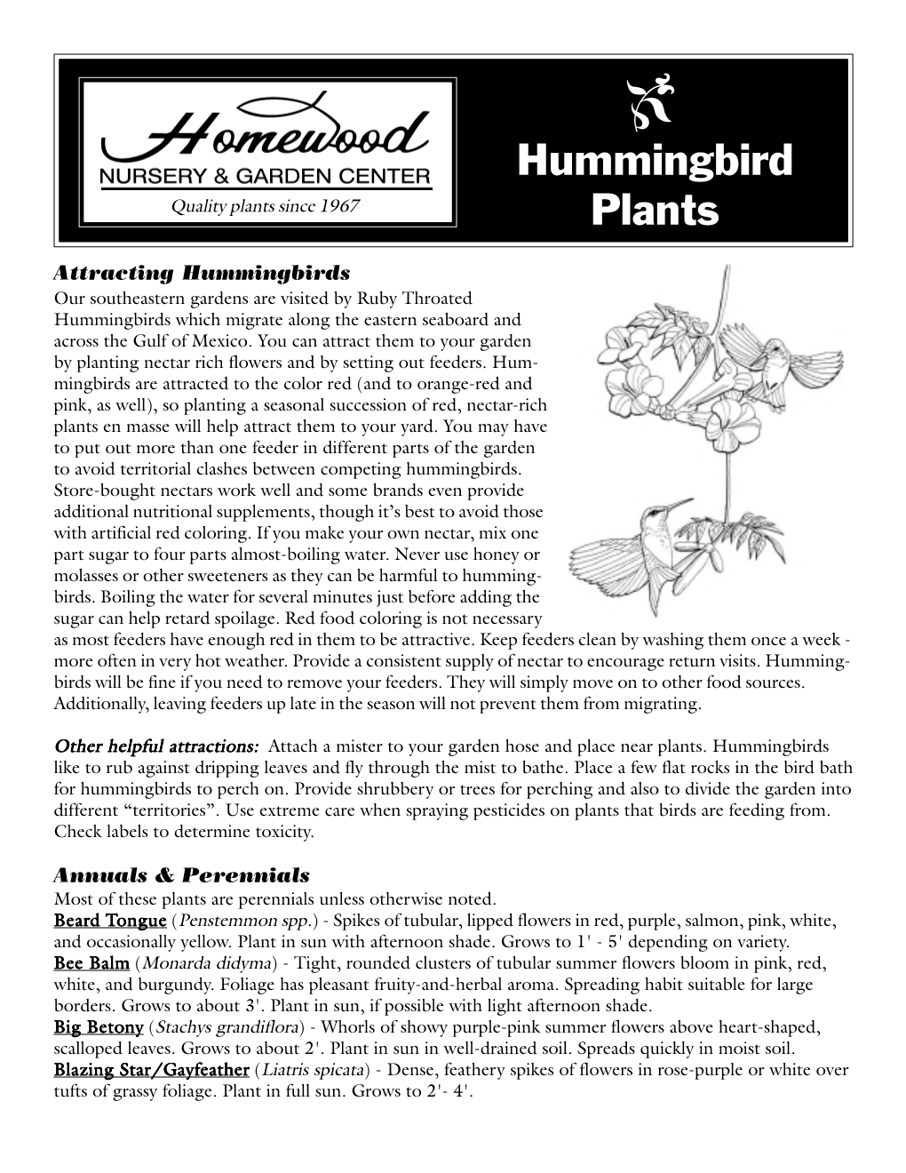 Hummingbird Plants